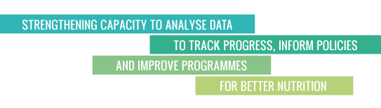 Strengthening capacity to analyse data to track progress, 

inform policies and improve programmes for better nutrition